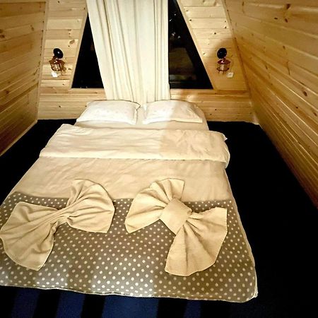 Ska Cottage Kazbegi Ngoại thất bức ảnh